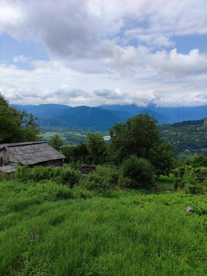 Racha Chogovadze'S Guest House แอมโบรเลารี ภายนอก รูปภาพ